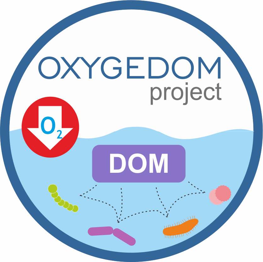 oxygedom_logo
