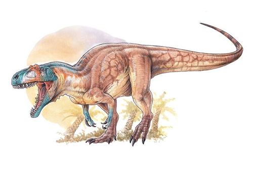 New Marie Skłodowska Curie Actions Project: "JurRad" Illustration of Asfaltovenator, a possible allosauroid from Fm. Cañadón Asfalto in Chubut (Patagonia, Argentina) by Gabriel Lio. One of the theropod in study in this Project.