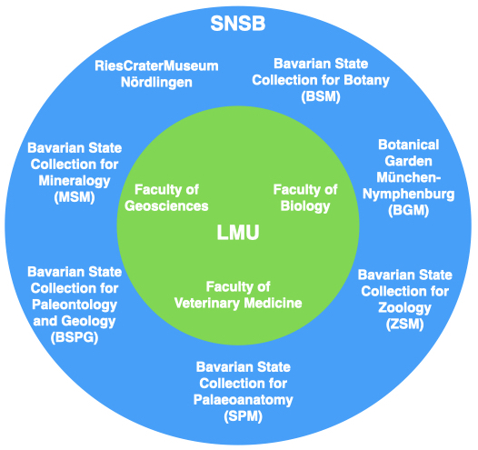 institute_scheme