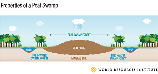 peat properties_535