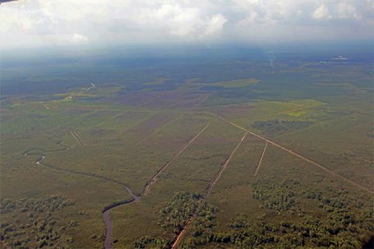 peatland drainage_535